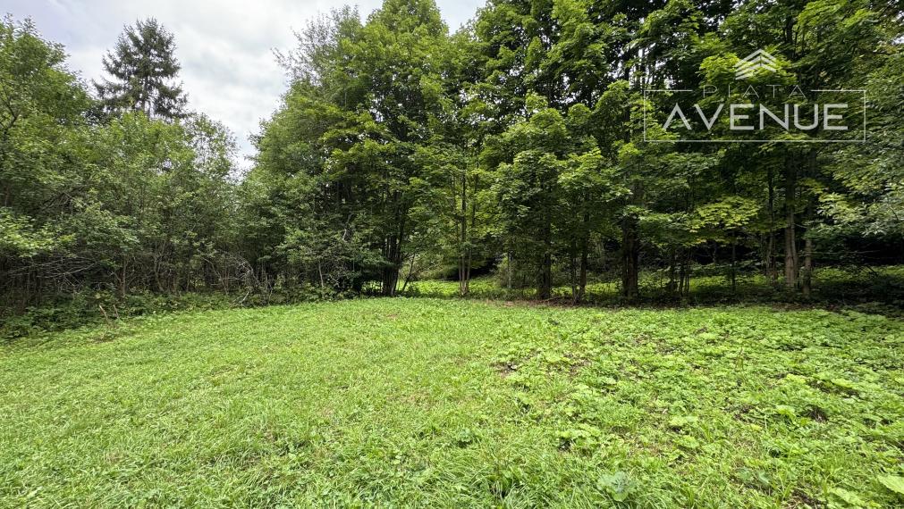 TURISTICKÁ LOKALITA , Pozemok na predaj v obci Terchová - Šípková (5512m2)