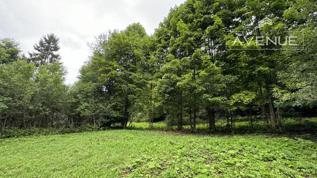 TURISTICKÁ LOKALITA , Pozemok na predaj v obci Terchová - Šípková (5512m2)