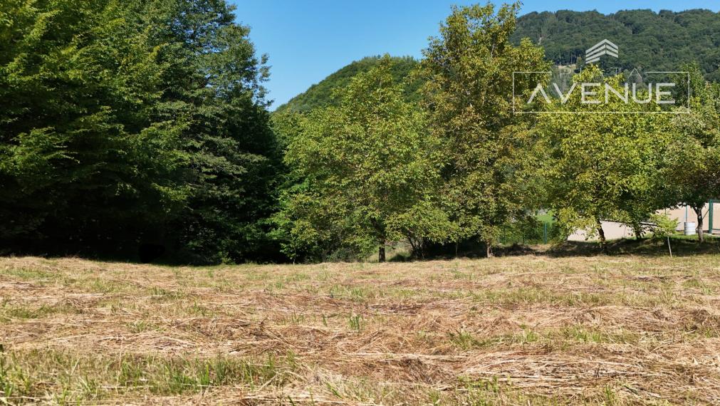 Piata Avenue | Výnimočný pozemok s projektom - Lysica