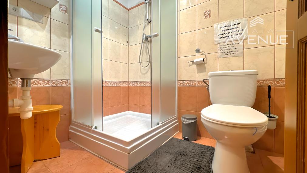 Piata Avenue | Perfektná voľba pre viacgeneračné bývanie alebo podnikanie