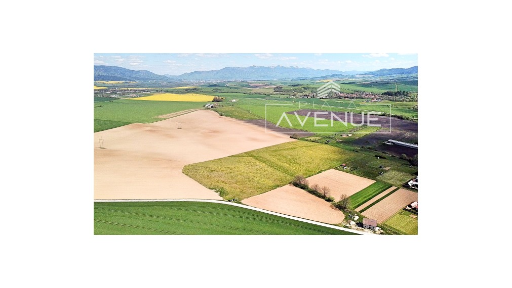 Piata Avenue | Posledných 10 pozemkov pre rodinné domy (351 m2 – 1120 m2) | 0050