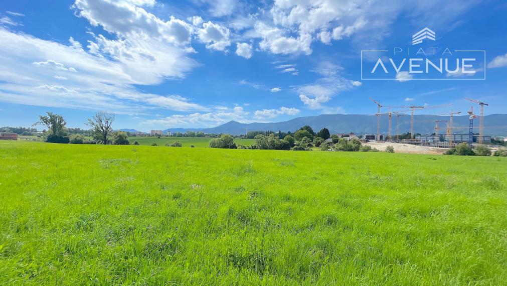 Piata Avenue | Na predaj pozemok - Tomčany