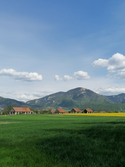 Piata Avenue | Stavebný pozemok (746 m2) lokalita - Karlová