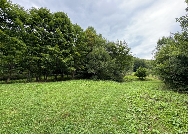 TURISTICKÁ LOKALITA , Pozemok na predaj v obci Terchová - Šípková (5512m2)