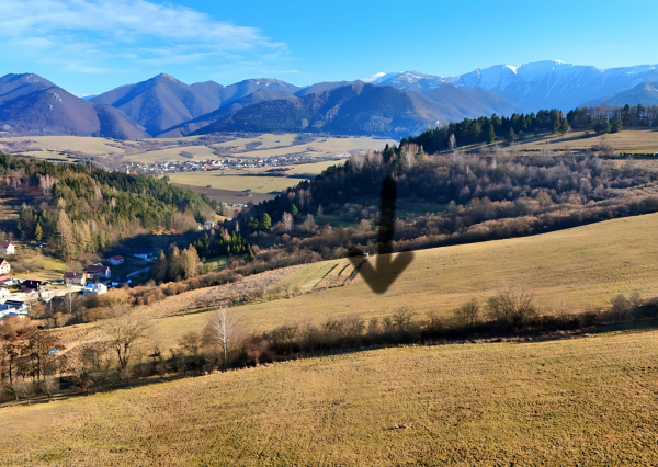 Piata Avenue | Na predaj pozemok na investíciu - Lysica | 0055