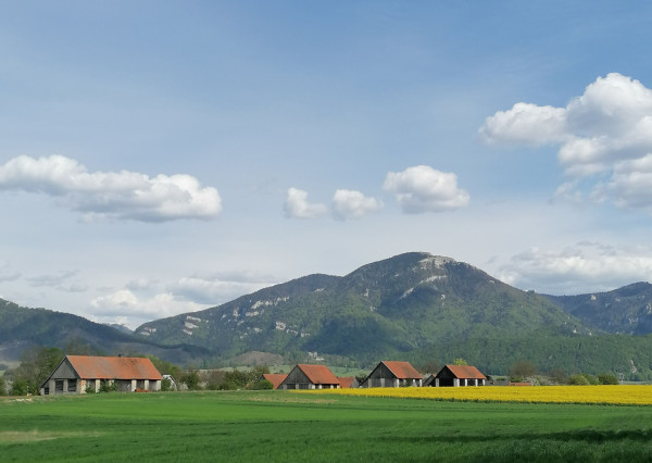 Piata Avenue | Stavebný pozemok (746 m2) lokalita - Karlová